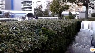 香蕉久久a毛片-韩国电影在线看免费-欧美日韩专区国产精品 - JJXXXAV